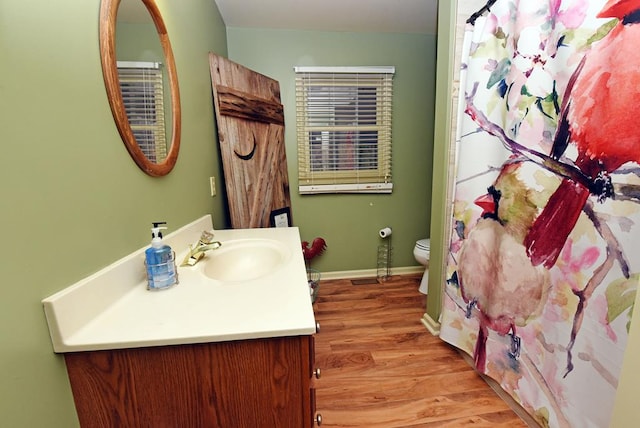 bathroom featuring vanity, toilet, and wood-type flooring