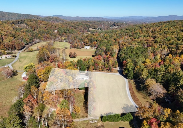 birds eye view of property featuring a mountain view