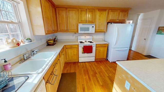 kitchen featuring sink, white appliances, plenty of natural light, and light hardwood / wood-style floors