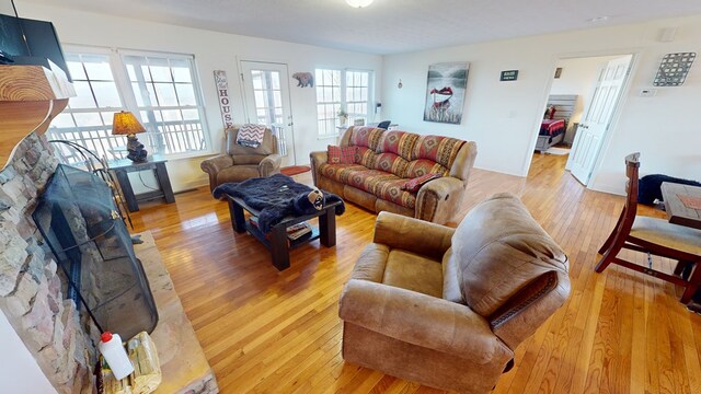 living room featuring a fireplace and light wood-type flooring