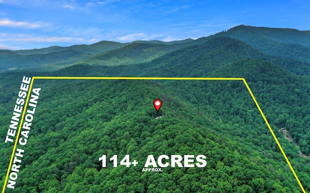 birds eye view of property with a mountain view