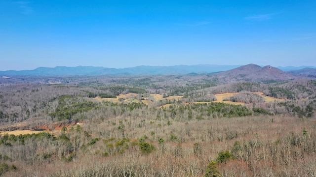 view of mountain view