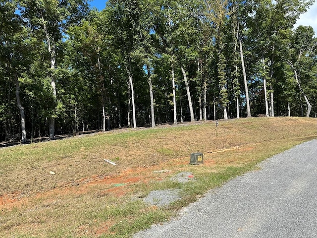 Listing photo 3 for LT44 Ridge Dr, Morganton GA 30560