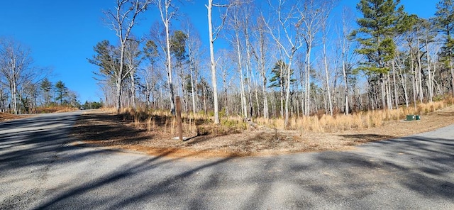 LT143 High River Rd, Ellijay GA, 30540 land for sale