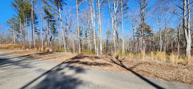 Listing photo 3 for LT143 High River Rd, Ellijay GA 30540