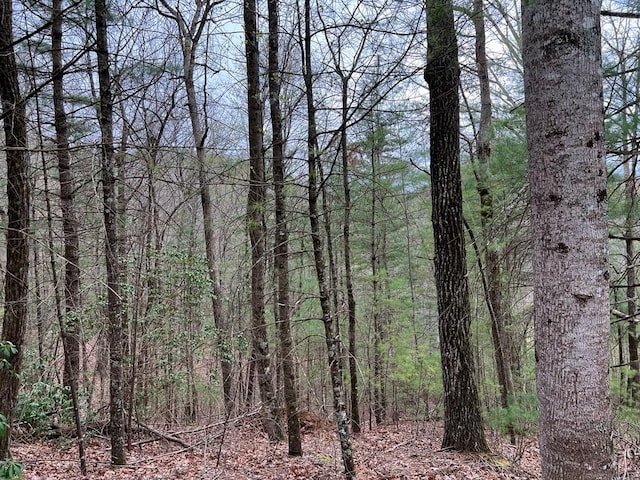 J273 Pine Ridge Rd, Ellijay, GA 30560