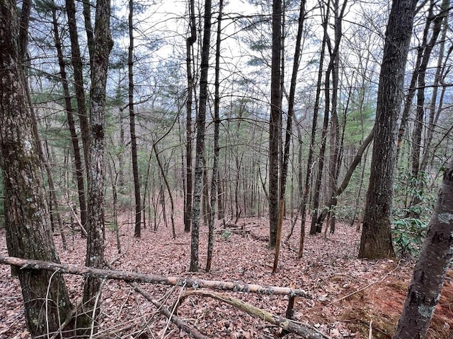 J273 Pine Ridge Rd, Ellijay, GA 30560