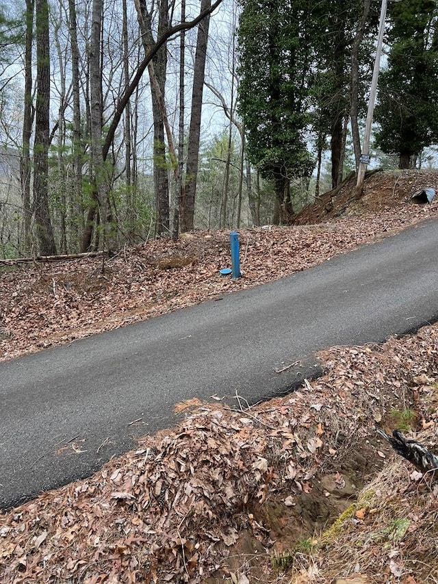J273 Pine Ridge Rd, Ellijay, GA 30560