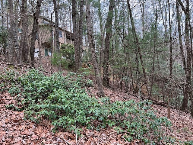 J273 Pine Ridge Rd, Ellijay, GA 30560