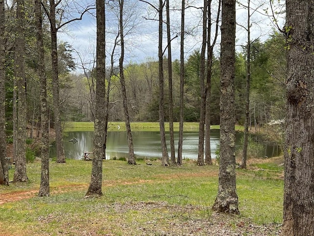 J273 Pine Ridge Rd, Ellijay, GA 30560