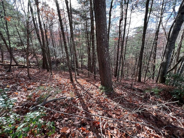 J273 Pine Ridge Rd, Ellijay, GA 30560