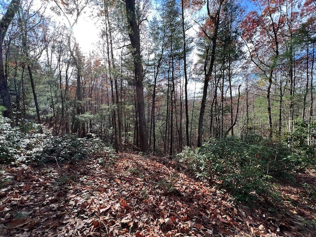 J273 Pine Ridge Rd, Ellijay, GA 30560