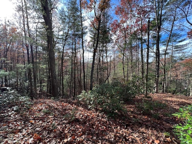 J273 Pine Ridge Rd, Ellijay, GA 30560