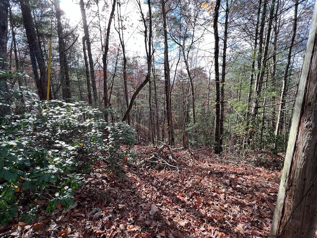J273 Pine Ridge Rd, Ellijay, GA 30560