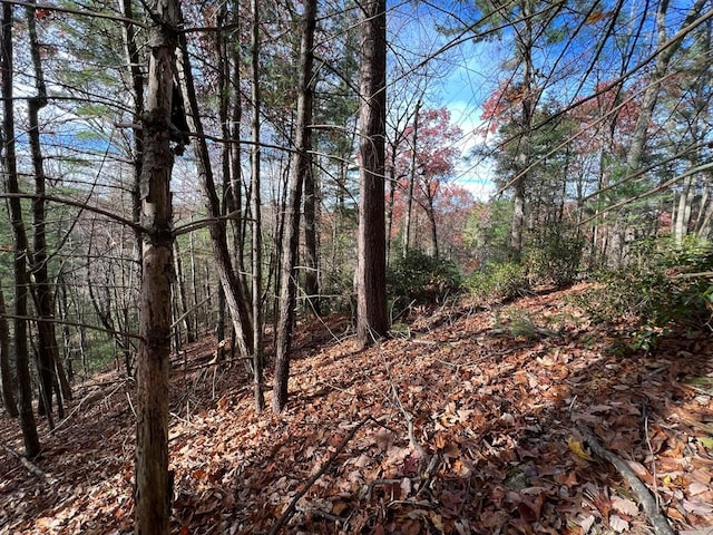 J273 Pine Ridge Rd, Ellijay, GA 30560