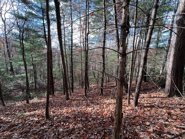 J273 Pine Ridge Rd, Ellijay, GA 30560