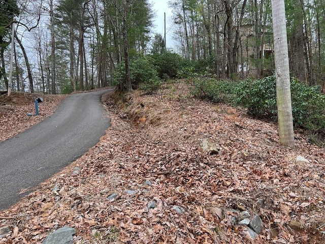 J273 Pine Ridge Rd, Ellijay, GA 30560