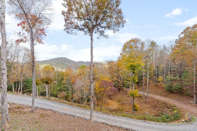 247 Toccoa Overlook Dr, Blue Ridge, GA 30513 - view of mountain backdrop featuring a heavily wooded area