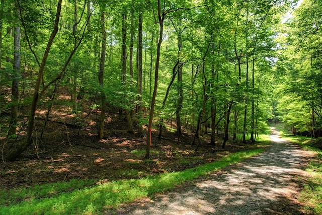 Listing photo 2 for LOT1972 Nancy Ct, Ellijay GA 30540