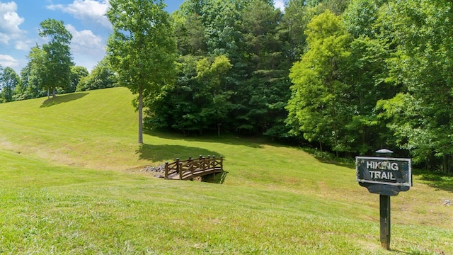 41 Elm Ct, Murphy, NC 28906 - view of community featuring a yard