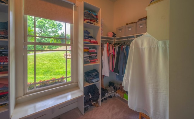 41 Elm Ct, Murphy, NC 28906 - spacious closet with carpet floors