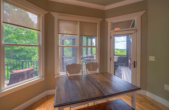 41 Elm Ct, Murphy, NC 28906 - dining space featuring light wood finished floors and ornamental molding