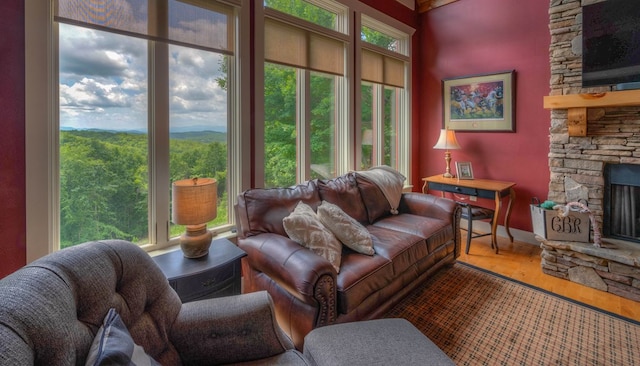 41 Elm Ct, Murphy, NC 28906 - living area with wood finished floors and a fireplace