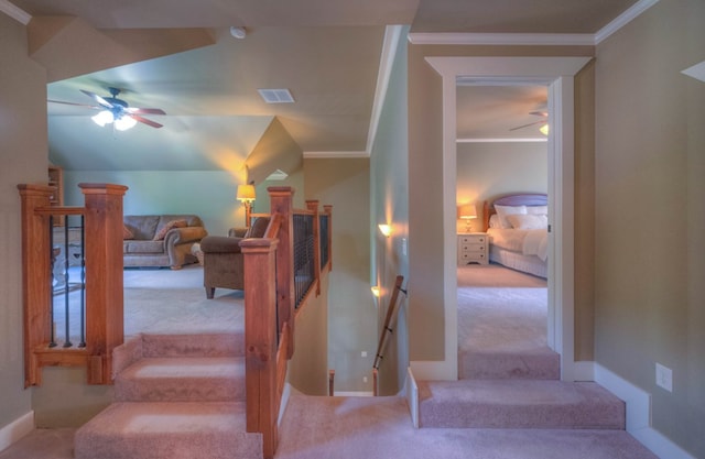 41 Elm Ct, Murphy, NC 28906 - stairs featuring a ceiling fan, carpet flooring, and crown molding