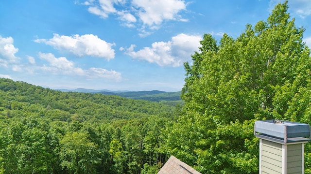 41 Elm Ct, Murphy, NC 28906 - view of mountain background with a forest