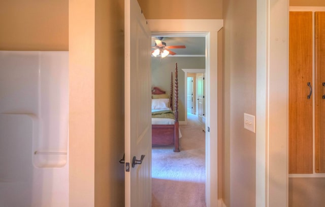 41 Elm Ct, Murphy, NC 28906 - hallway featuring carpet floors
