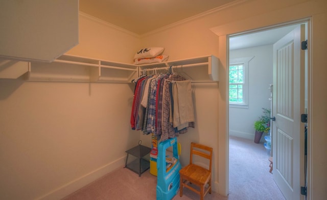 41 Elm Ct, Murphy, NC 28906 - spacious closet with carpet