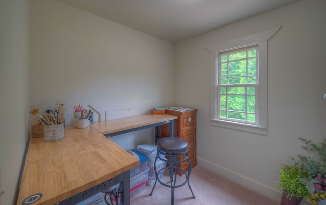 41 Elm Ct, Murphy, NC 28906 - carpeted office space with plenty of natural light