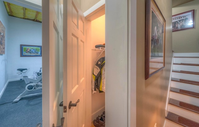 41 Elm Ct, Murphy, NC 28906 - hallway featuring carpet flooring and stairs