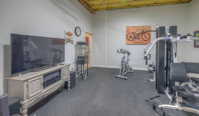 41 Elm Ct, Murphy, NC 28906 - view of workout room