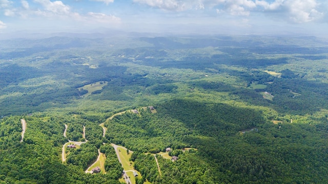 41 Elm Ct, Murphy, NC 28906 - drone / aerial view of a mountainous background