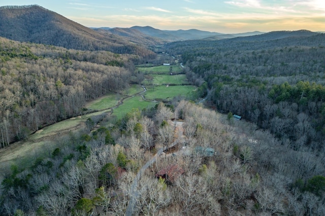 318 Buck Ridge Rd, Suches, GA 30572 - aerial view featuring a view of trees and a mountain view