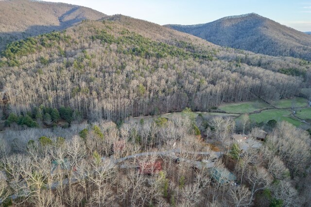 318 Buck Ridge Rd, Suches, GA 30572 - view of mountain feature