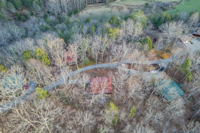 318 Buck Ridge Rd, Suches, GA 30572 - drone / aerial view