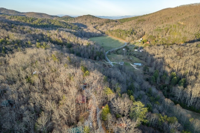 318 Buck Ridge Rd, Suches, GA 30572 - property view of mountains featuring a forest view