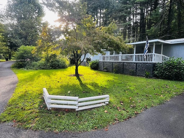 view of home's community with a yard