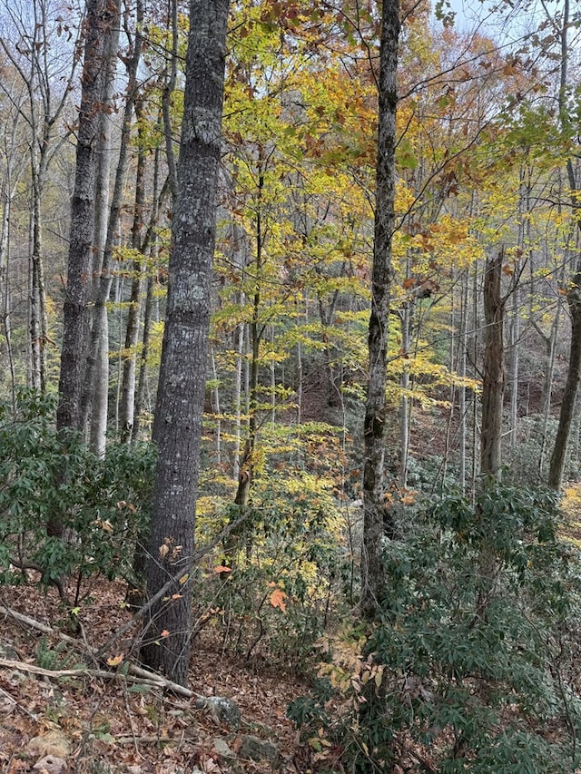 Listing photo 2 for 00 Heritage Trl, Brasstown NC 28902