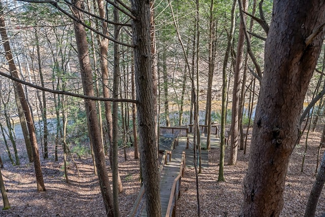 view of local wilderness