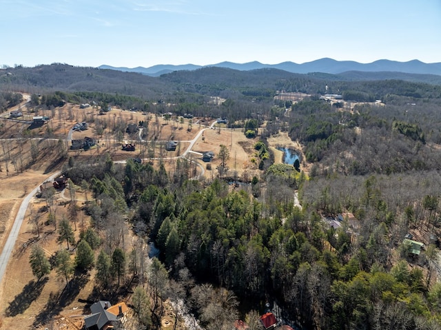 birds eye view of property featuring a mountain view