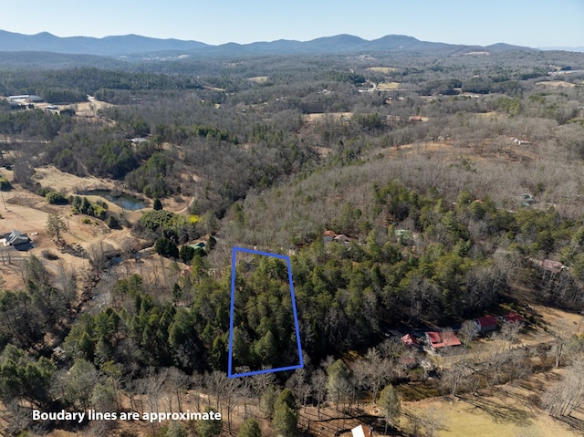 aerial view with a mountain view