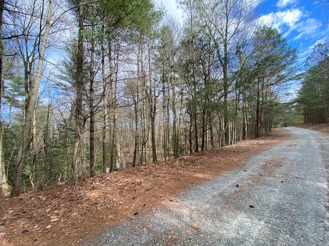 Listing photo 3 for LOT4 Mossy Hill Ct, Ellijay GA 30540