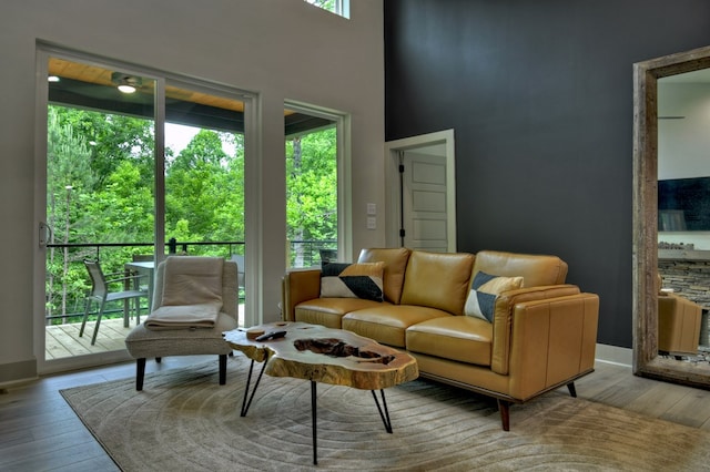 living area with hardwood / wood-style flooring and a wealth of natural light