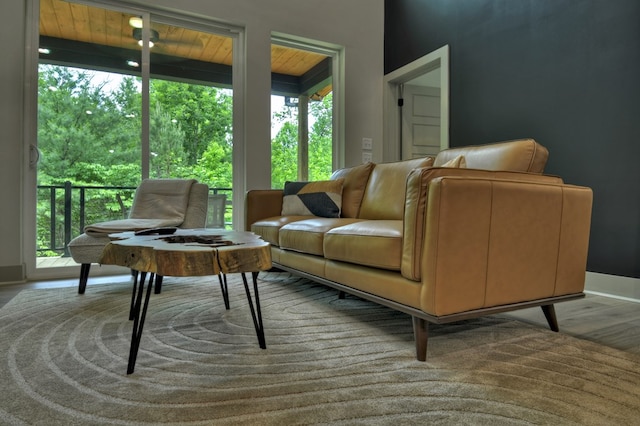 living area with a healthy amount of sunlight and wood finished floors