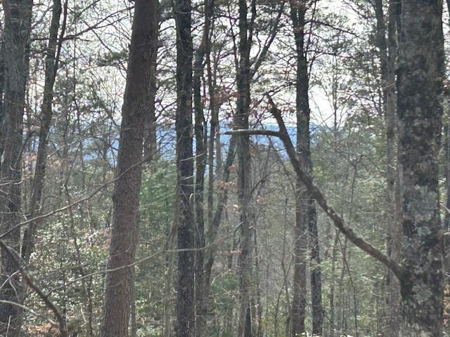 5.95AC Alp Ln, Blue Ridge GA, 30513 land for sale