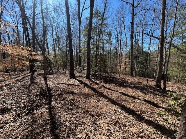 Listing photo 2 for 5.95AC Alp Ln, Blue Ridge GA 30513