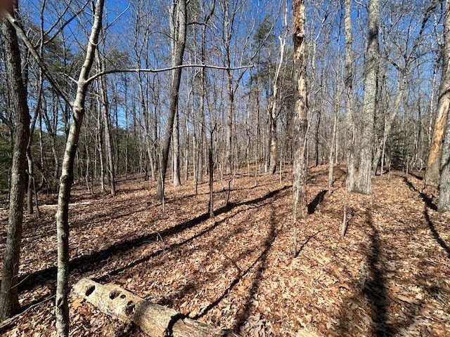 Listing photo 3 for 5.95AC Alp Ln, Blue Ridge GA 30513